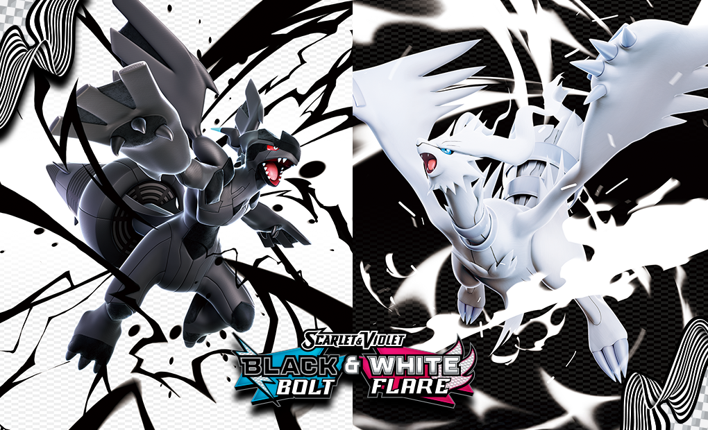 Pokemon_black_white_Trading Card Game_20250725