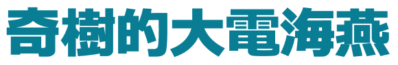 奇樹的大電海燕