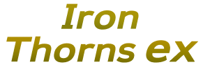 Iron Thorns ex