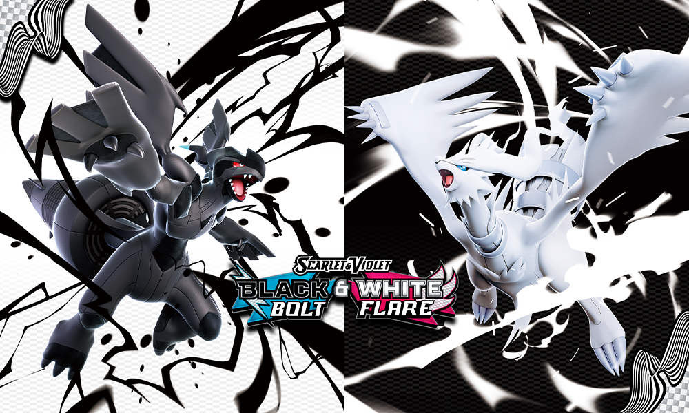 Pokemon_black_white_Trading Card Game_20250725