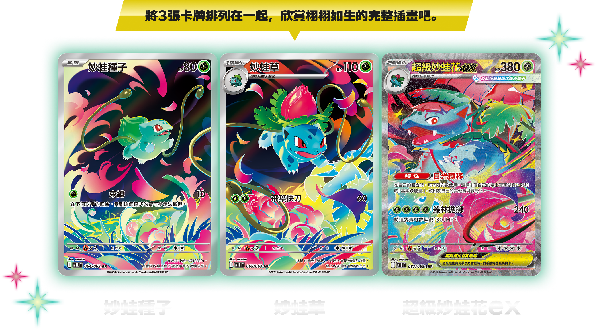將3張卡牌排列在一起，欣賞逼真的完整插畫吧。妙蛙種子 妙蛙草 超級妙蛙花ex