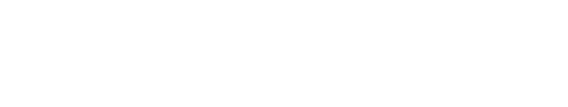 能進一步強化「N的寶可夢」牌組的卡牌登場！