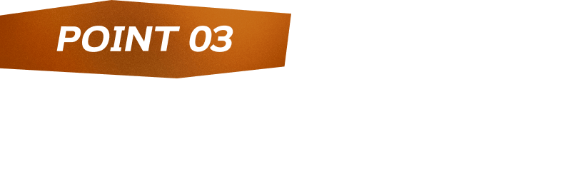 POINT03 附加大量的【火】能量卡和【雷】能量卡吧！