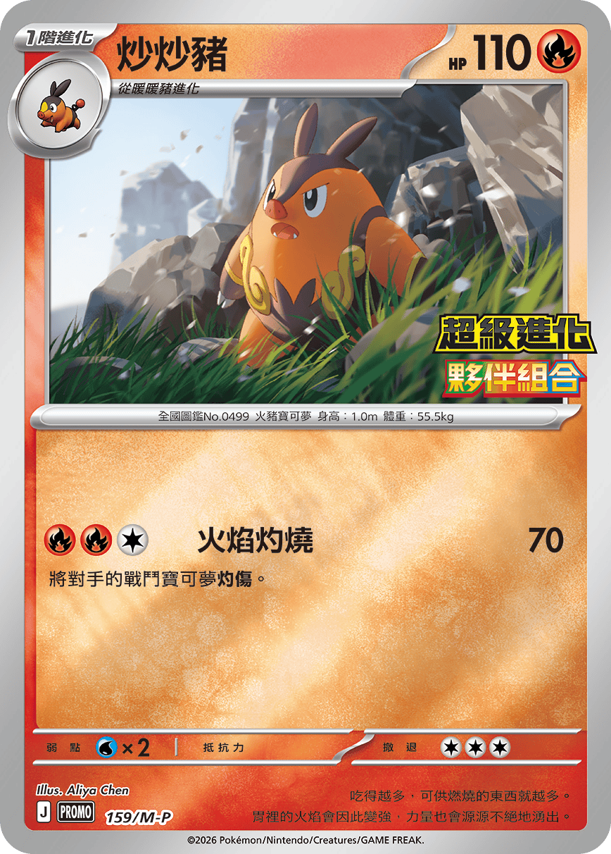 炒炒豬